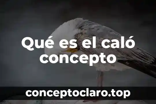 El concepto de magnitud 6 Qué es el caló concepto