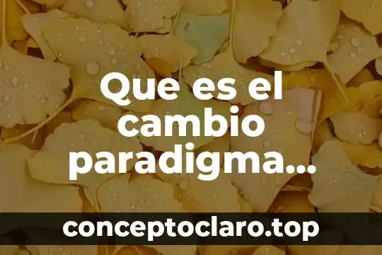 Que es el cambio paradigma geocentrista en filosofía