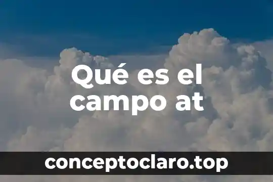 Qué es el campo at