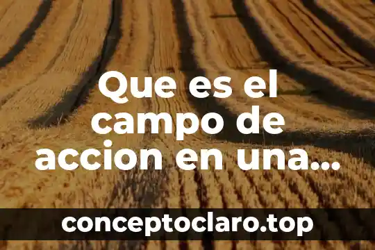 Que es el campo de accion en una investigacion social