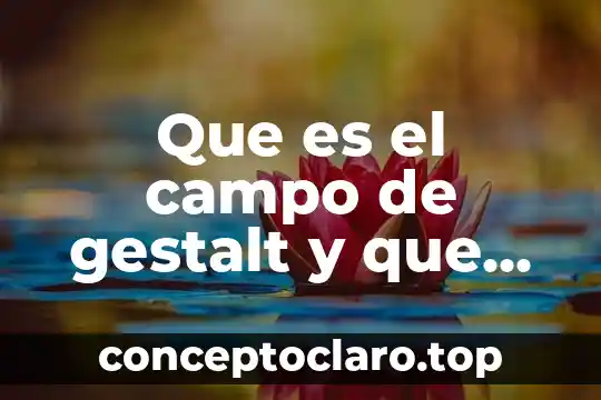 Que es el campo de gestalt y que aplica