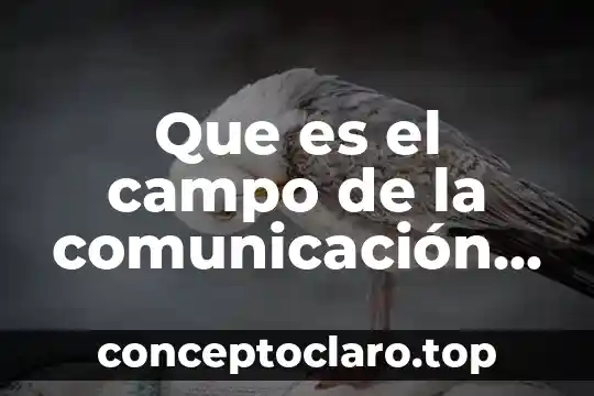 Qué es el número de serie de una televisión 4 Que es el campo de la comunicación en la televisión