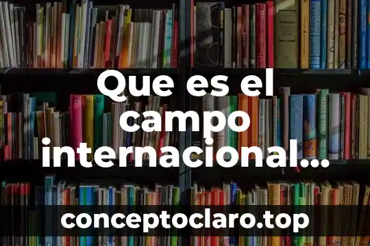 Que es el campo internacional en politica