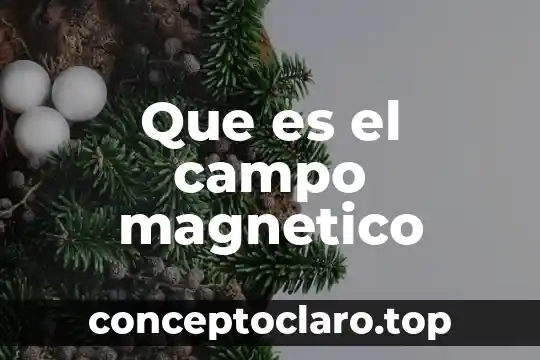 Que es un sensor magnetico de nivel de agua 5 Que es el campo magnetico