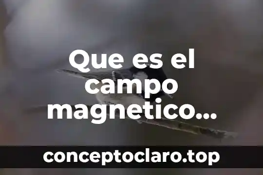Que es un sensor magnetico de nivel de agua 7 Que es el campo magnetico electrico