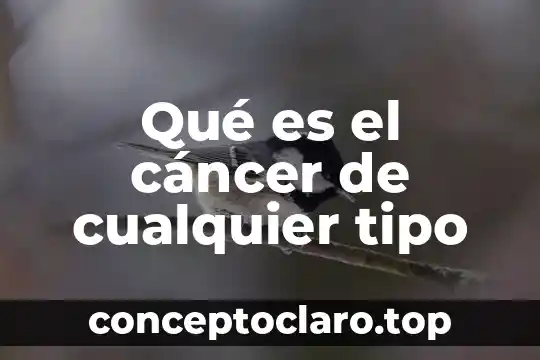 Qué es el cáncer de cualquier tipo