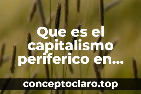 Qué es la inversión privada México 5 Que es el capitalismo periferico en mexico