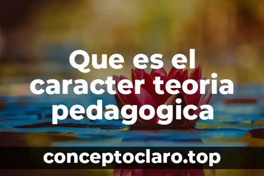 Que es el caracter teoria pedagogica