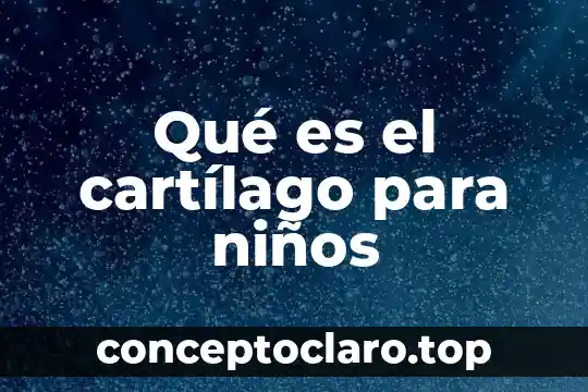 Que es la naturaleza significado para niños 8 Qué es el cartílago para niños