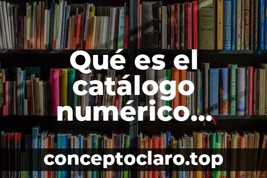 Qué es número decimal 3 Qué es el catálogo numérico decimal