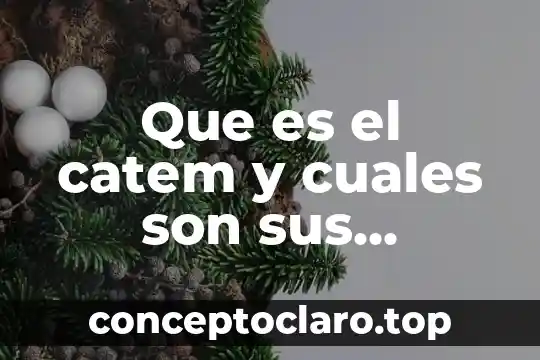 Que es el catem y cuales son sus funciones