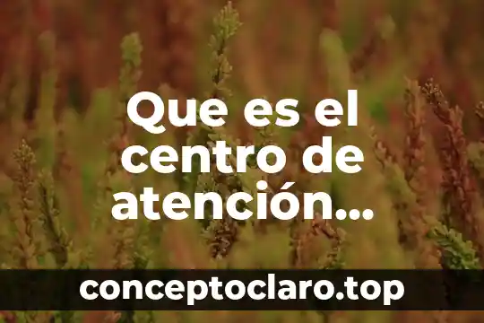 Que es el centro de atención psicopedagógico de educación preescolar