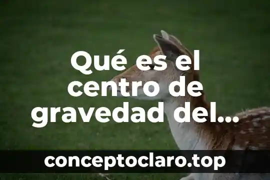 Que es alimentación por gravedad 4 Qué es el centro de gravedad del libro de física