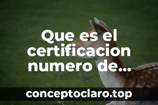 Que es el certificacion numero de imss