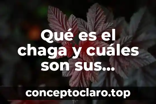 Qué es el chaga y cuáles son sus síntomas