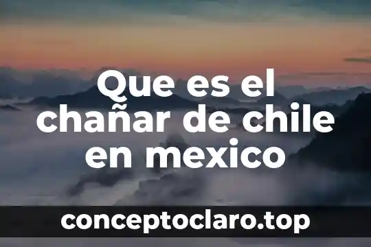 Que es ser mateo en chile 7 Que es el chañar de chile en mexico