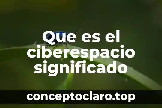 Que es el significado de semoviente 4 Que es el ciberespacio significado