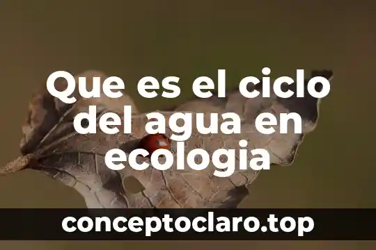 Que es la agua neutra 4 Que es el ciclo del agua en ecologia