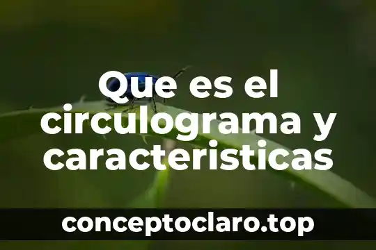 Que es el circulograma y caracteristicas