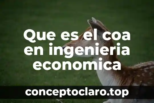 Qué es globalización económica definición 4 Que es el coa en ingenieria economica