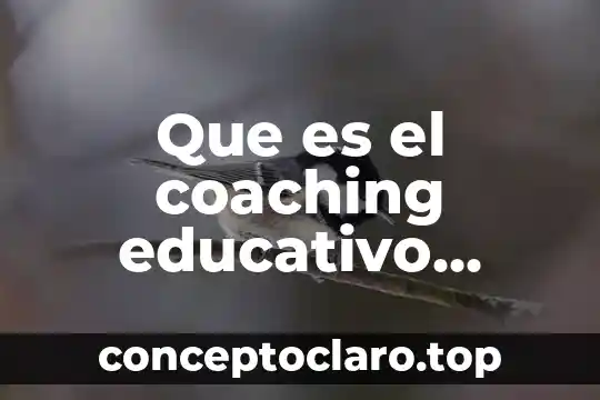Que es el coaching educativo como nacio