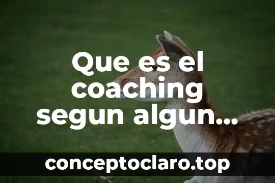 Que es el coaching segun algun autor