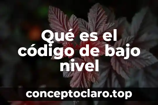 Qué es el código de bajo nivel