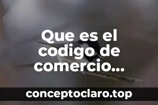 Que es significa la palabra impuras 5 Que es el codigo de comercio contabilidad