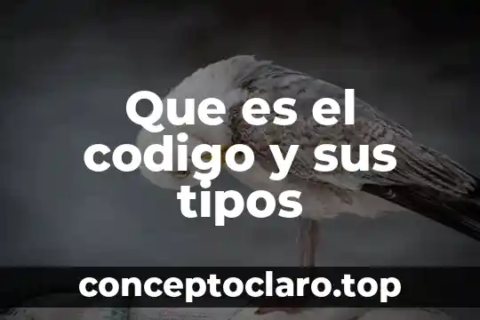 Que es un codigo rfid 4 Que es el codigo y sus tipos