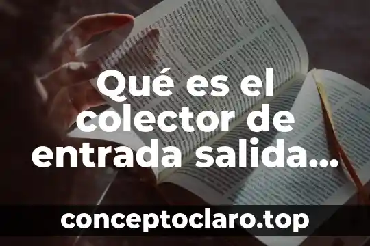 Qué es el colector de entrada salida sistemas operativos