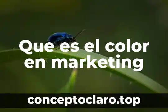 Que es el color en marketing