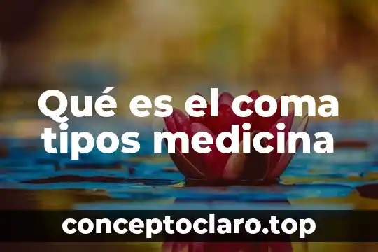 Que es eg medicina 8 Qué es el coma tipos medicina