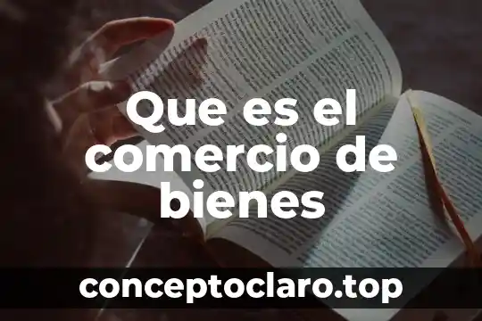 Que es el comercio de bienes