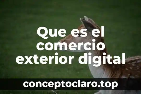 Que es el comercio exterior digital