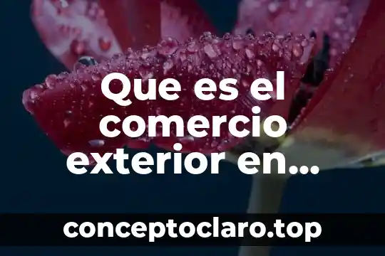 Que es el comercio exterior en venezuela