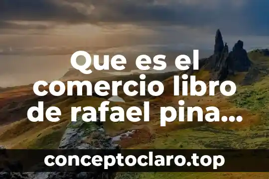 Que es el comercio libro de rafael pina vara