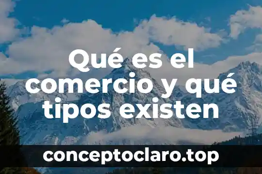 Que es un lta comercio 7 Qué es el comercio y qué tipos existen