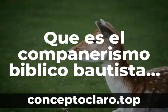 Que es el companerismo biblico bautista de mexico