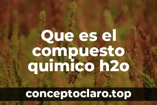 Que es el sistema mecanico del microscopio compuesto 5 Que es el compuesto quimico h2o