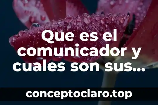 Que es el comunicador y cuales son sus funciones