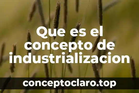 Que es el concepto de industrializacion