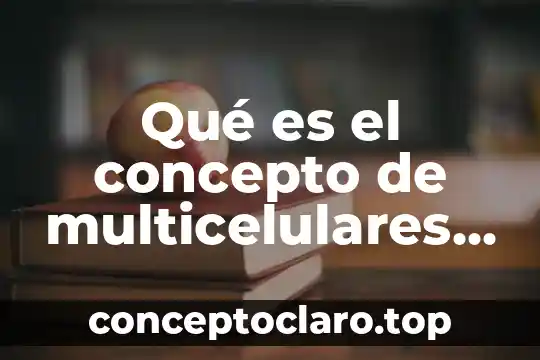 El concepto de magnitud 3 Qué es el concepto de multicelulares eucariotas eucariotas y heterótrofos