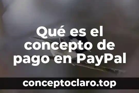 Qué es el concepto de pago en PayPal