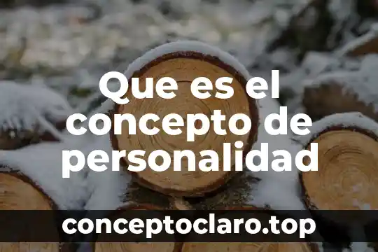 Que es el concepto de personalidad