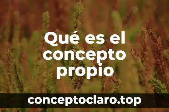 Qué es el concepto propio