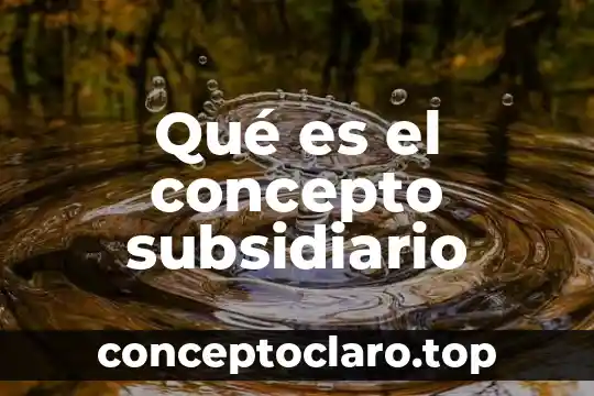 Qué es el concepto subsidiario