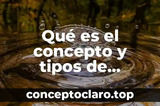 Qué es el concepto y tipos de concepto