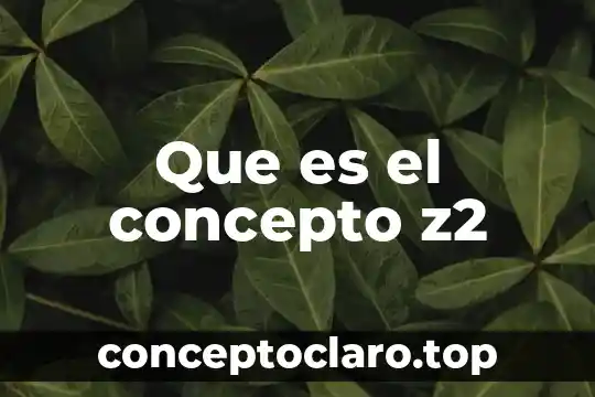 Que es ser constructiva 6 Que es el concepto z2
