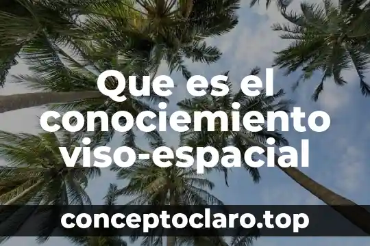 Que es el conociemiento viso-espacial