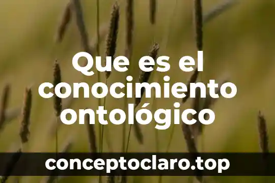 Que es el conocimiento ontológico